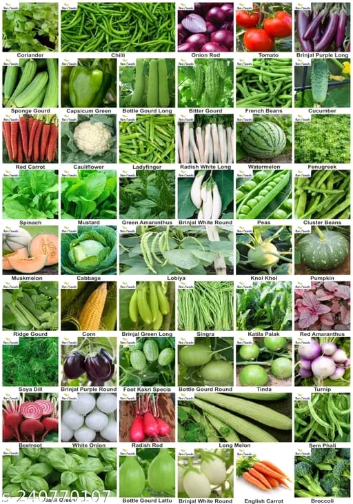 50 Variety Vegetable Seeds Combo Pack