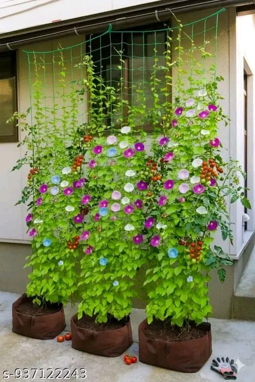Climbing Net for Vine — 6 ft x 10 ft